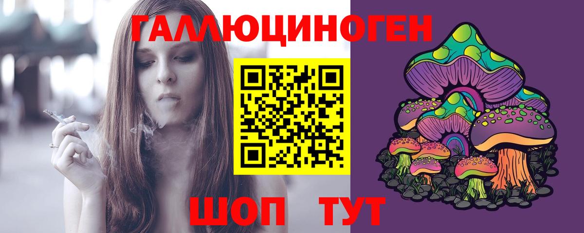 Бузулук  Галлюциногенные грибы Psilocybe  Вход с VPN 